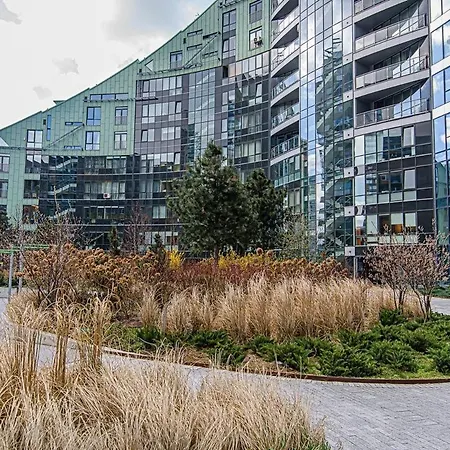 Cute Konstitucijos Ave *