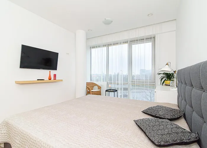 Cute Konstitucijos Ave *