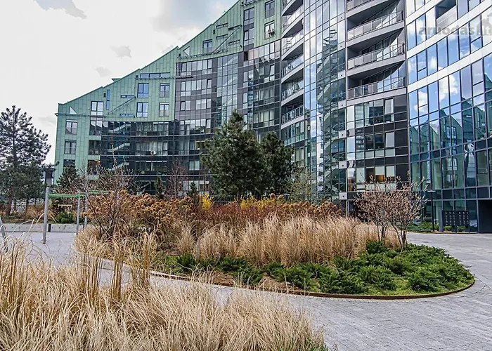 Cute Konstitucijos Ave *